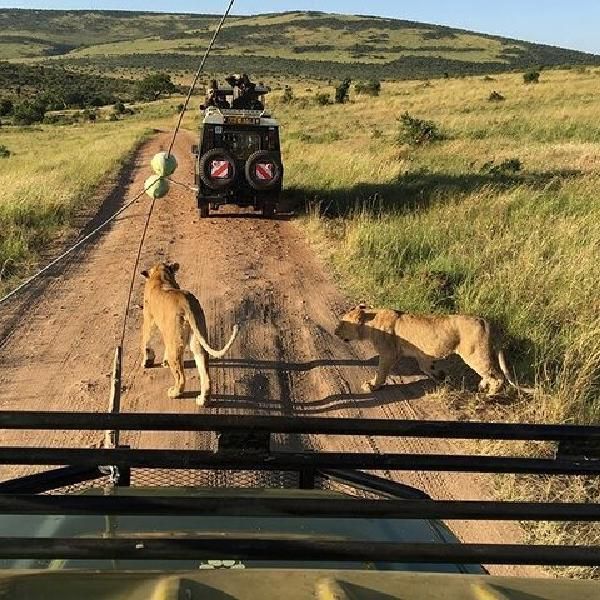 3-Day Private Mara Tour