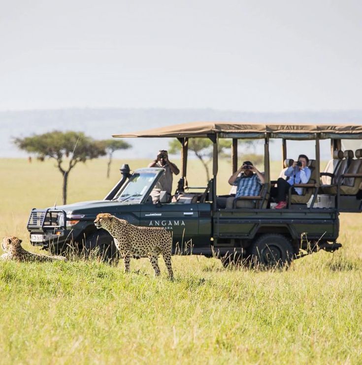 Safari Game Drive