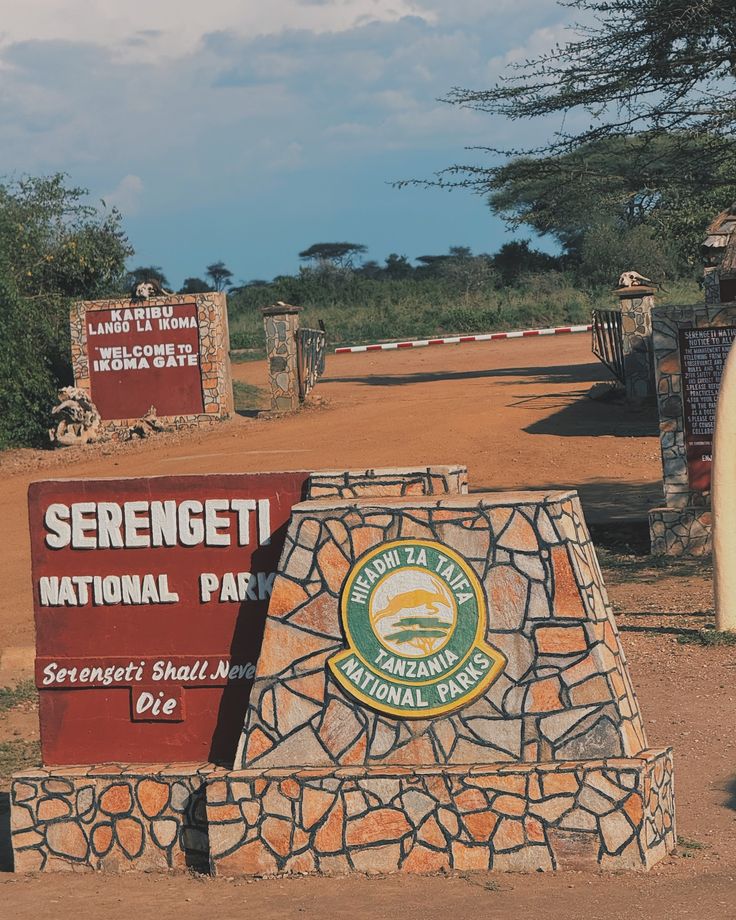 Serengeti Safari Drive
