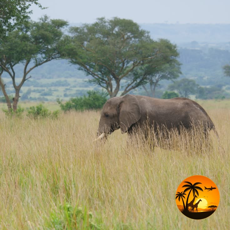 9 Days Kenya Honeymoon Safari & Beach Escape