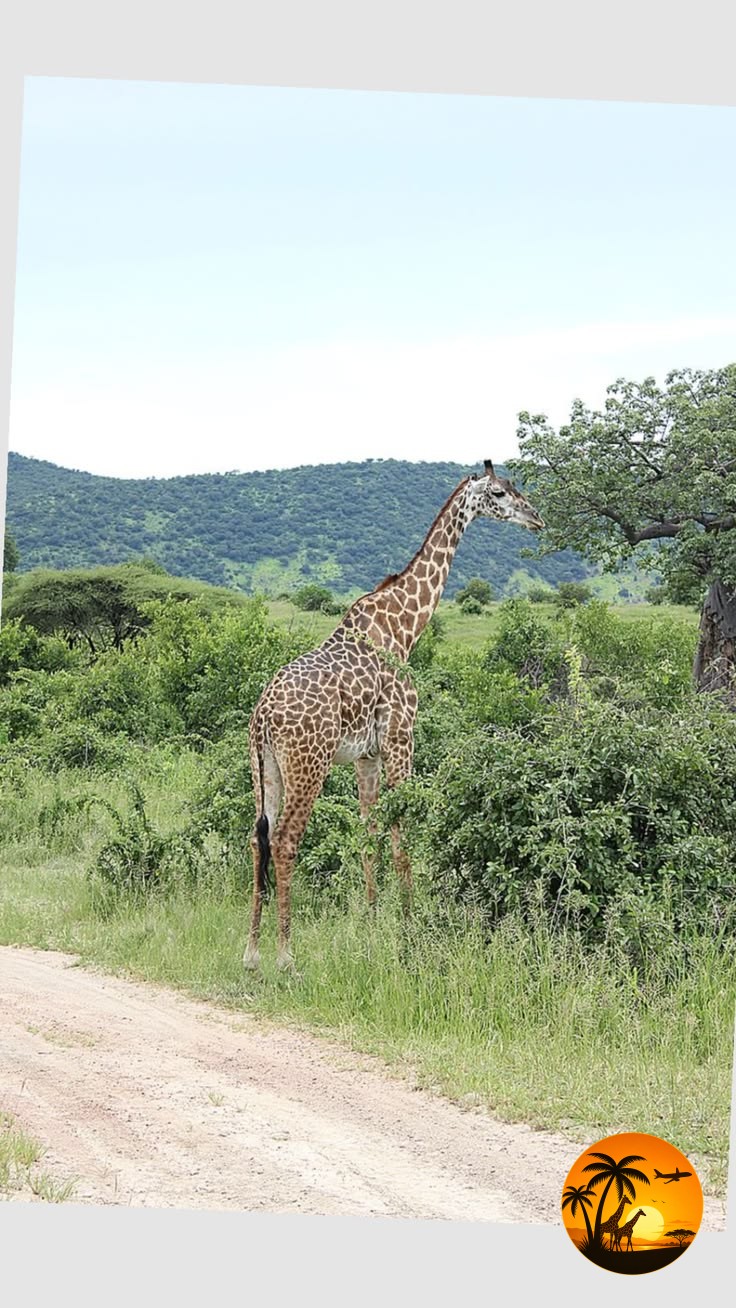 2 Days Ruma National Park & Kisumu Impala Sanctuary Safari | Western Kenya Wildlife Adventure