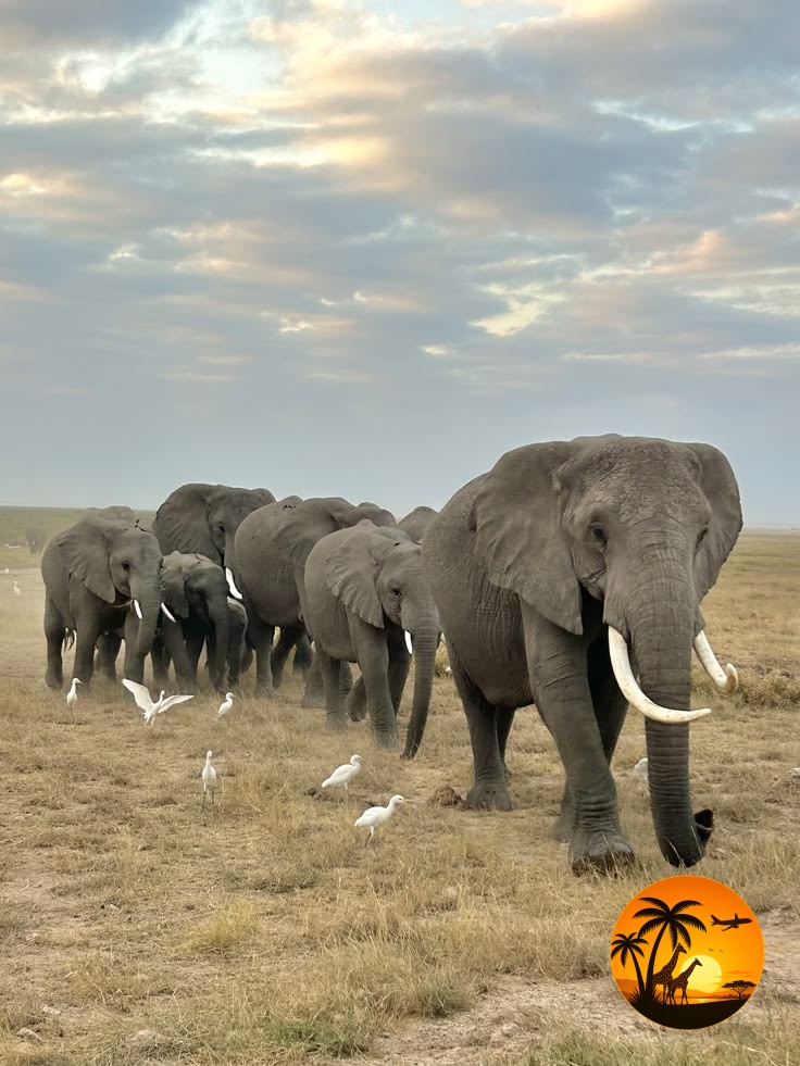 12 Days Luxury Tanzania Safari & Zanzibar Experience