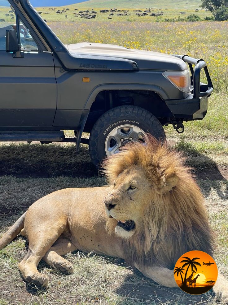 10 Days Ultimate Tanzania Safari Experience
