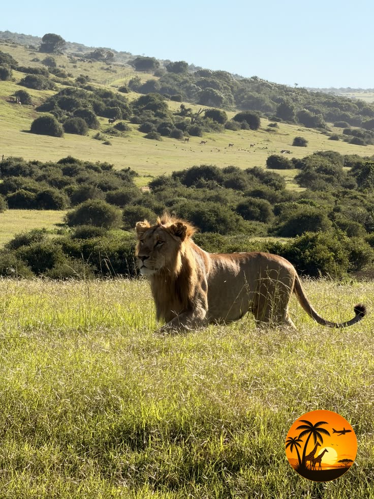 12 Days Kenya, Tanzania & Zanzibar Safari Experience