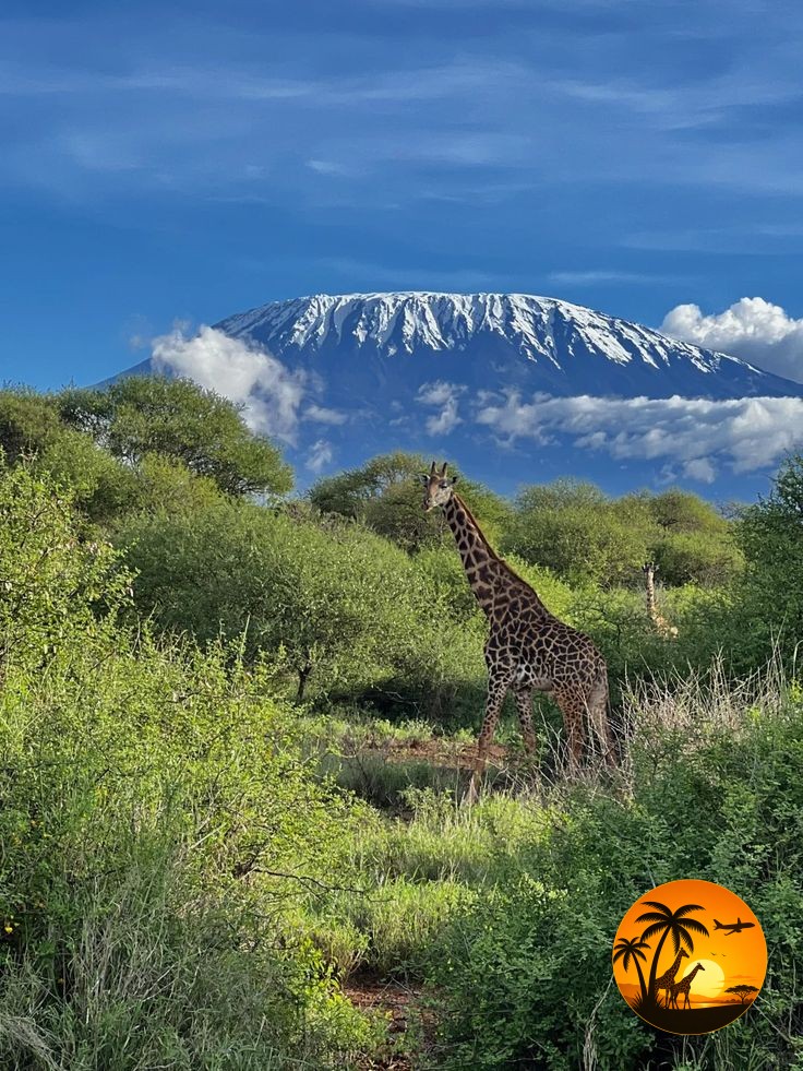 4 Days Amboseli & Tsavo Safari – Kenya (Nairobi & Coastal Beach Route)
