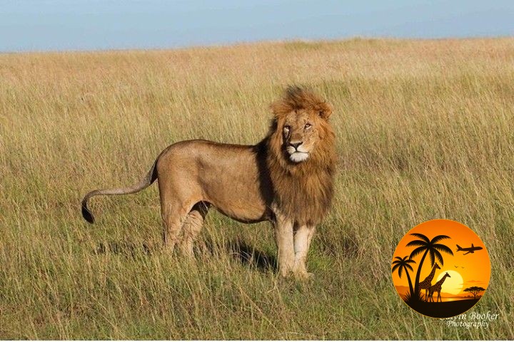 8 Days Ol Pejeta, Lake Nakuru, Lake Naivasha & Maasai Mara Experience 