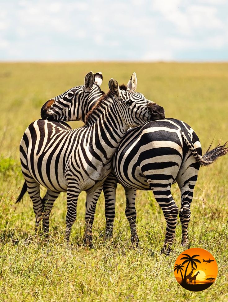 13-Day Kenya Safari & Beach Experience
