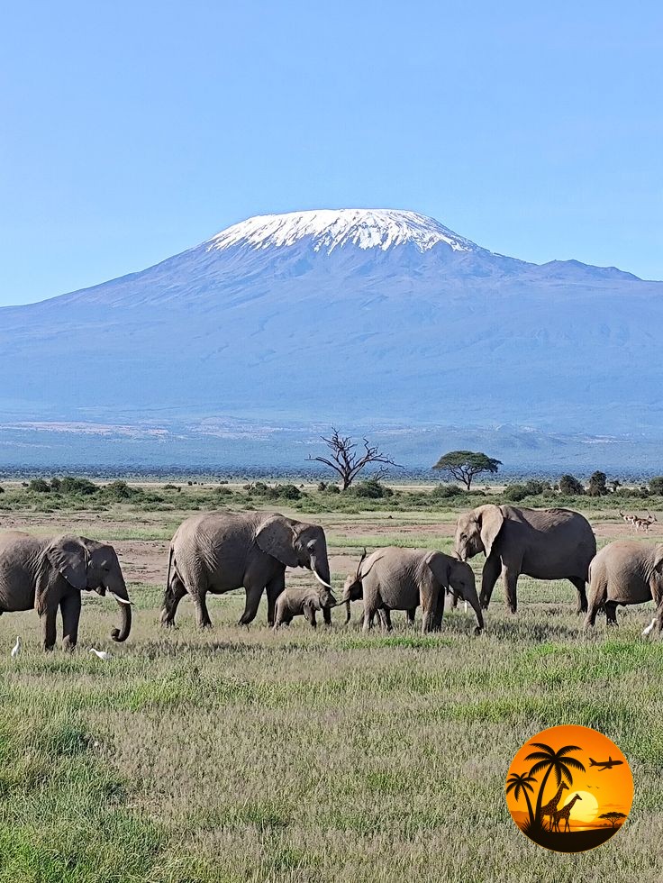 Kenya