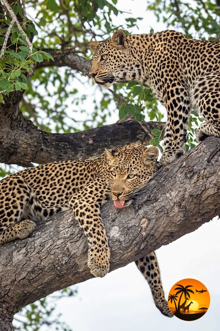 Kenya