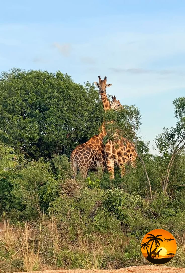 Uganda