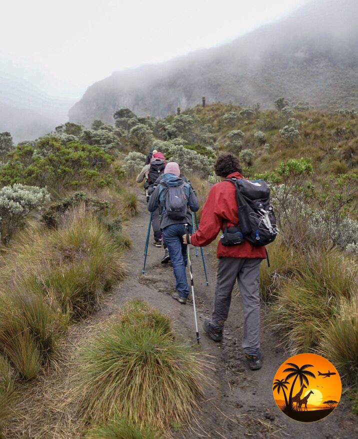 Mount Kenya Adventures