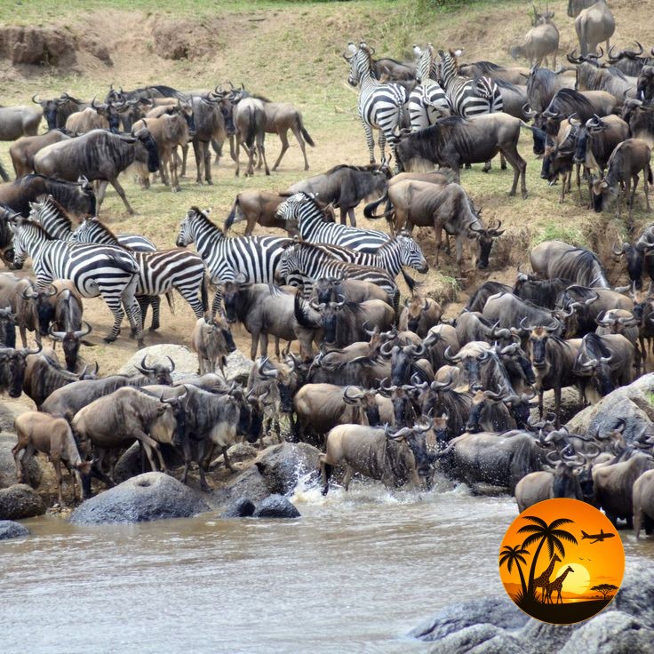 The Great Migration 