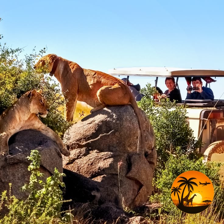 Serengeti — Days 2 & 3
