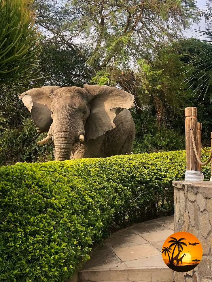 Where wildlife is part of the stay