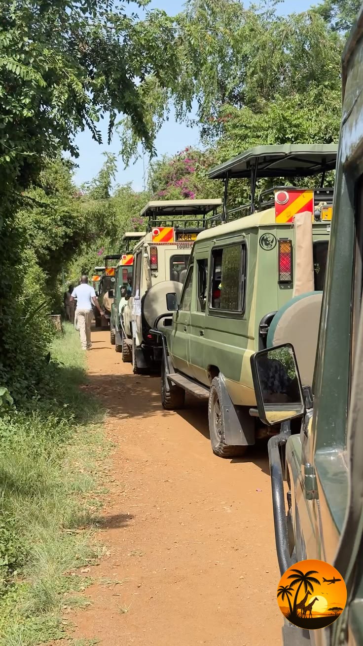 Group safaris, thoughtfully arranged